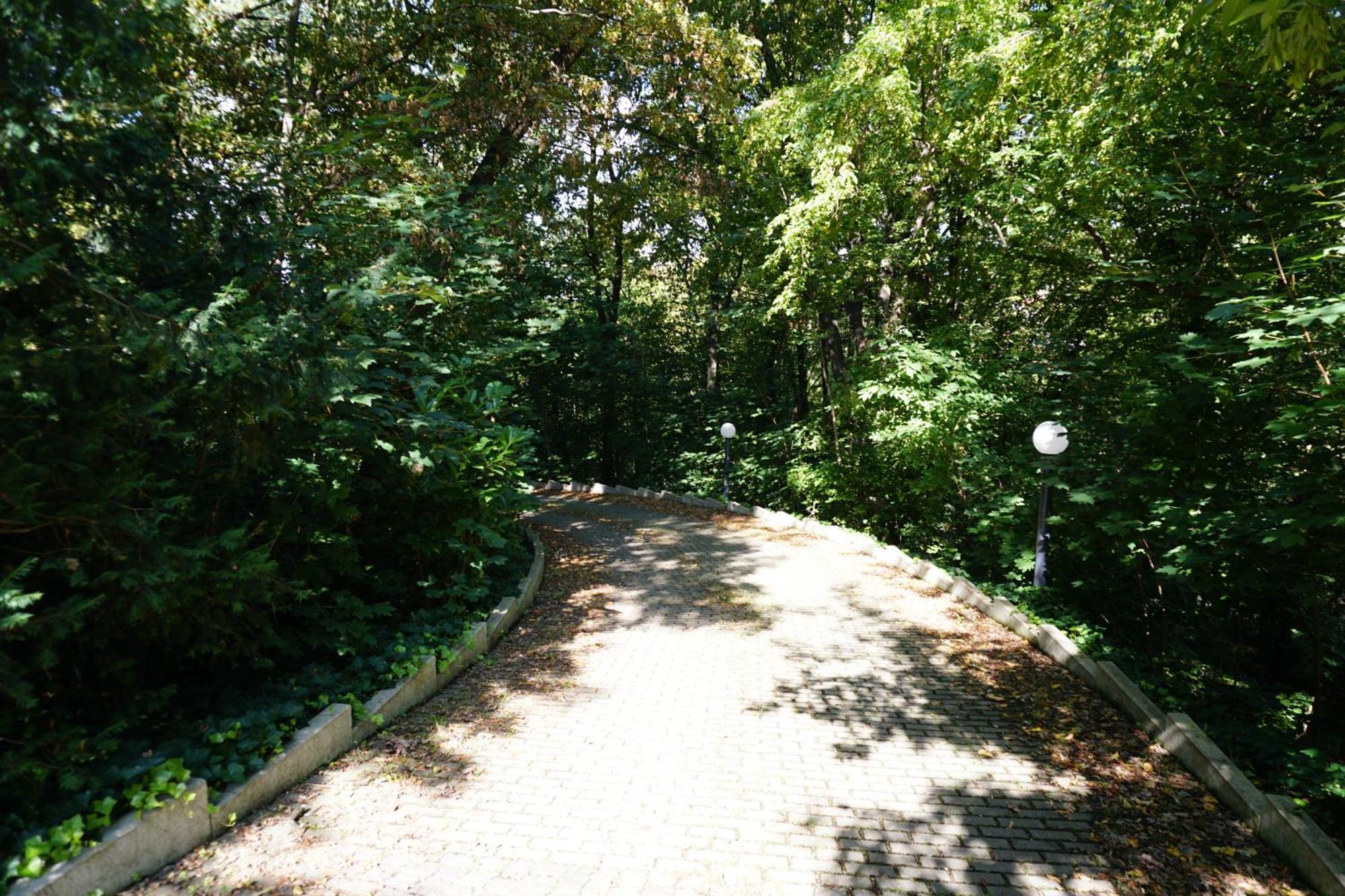 Villa Via Lapis - Panoramablick Ueber Dresden - Garten - Pool - Sauna - Luxus Exteriör bild